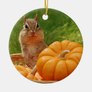 Ornamento De Cerâmica Chipmunk bonito do outono
