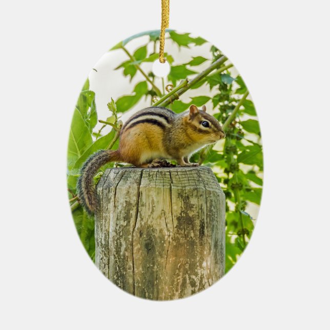 Ornamento De Cerâmica Chipmunk em um Posto de cerca (Frente)