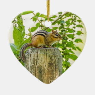 Ornamento De Cerâmica Chipmunk em um Posto de Cerca