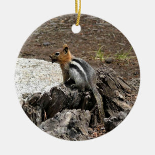 Ornamento De Cerâmica Chipmunk em Yosemite, Califórnia