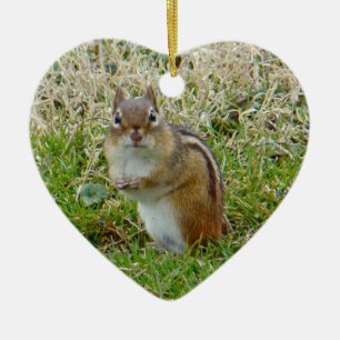Ornamento De Cerâmica Chipmunk oriental