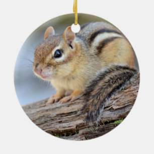 Ornamento De Cerâmica Chipmunk pequeno simplesmente adorável
