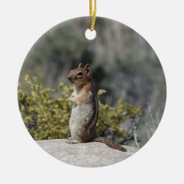Ornamento De Cerâmica Chipmunk, vida selvagem, (Frente)