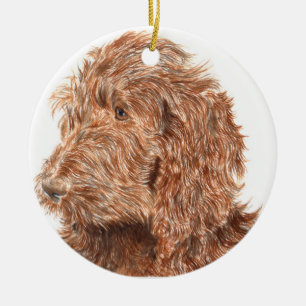 Ornamento De Cerâmica Chocolate Labradoodle