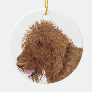 Ornamento De Cerâmica Chocolate Labradoodle