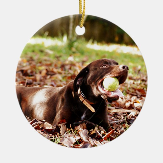 Ornamento De Cerâmica Chocolate Labrador Brincando Com Bola (Frente)
