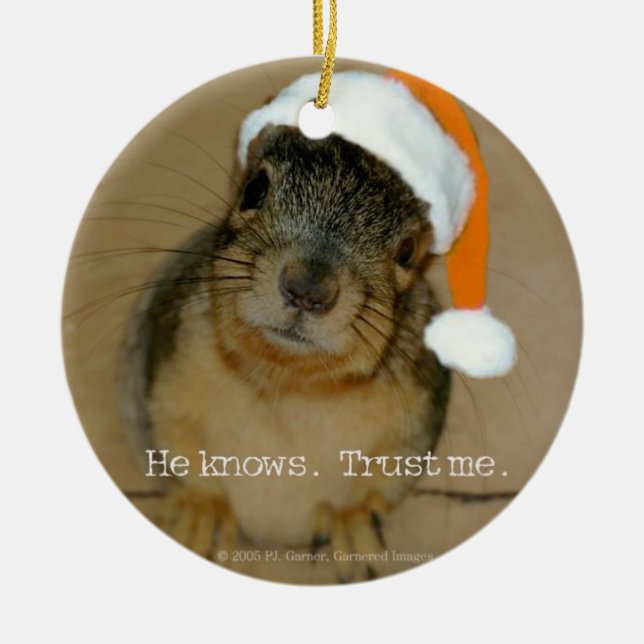 Ornamento De Cerâmica Christmas Ornament (Frente)