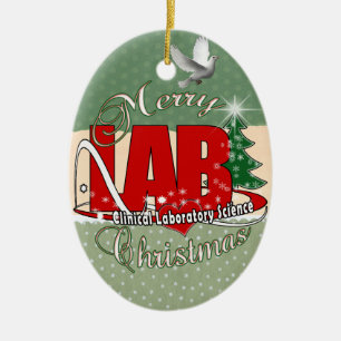 ORNAMENTO DE CERÂMICA CIÊNCIA CLÍNICA DO LABORATÓRIO DO NATAL DO