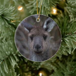 Ornamento De Cerâmica Cinza Ocidental Canguru Face Austrália Animal C