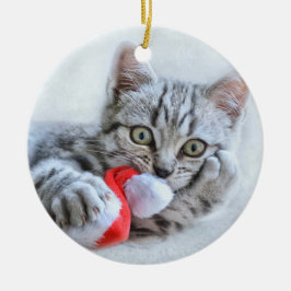 Ornamento De Cerâmica Cinzas bonitas por gato com Natal