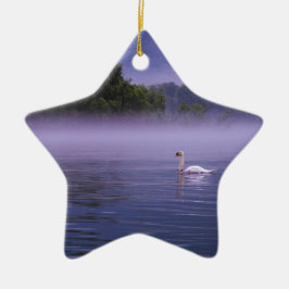 Ornamento De Cerâmica Cisne no lago