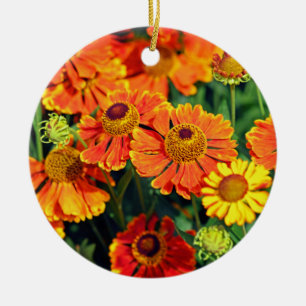 Ornamento De Cerâmica Citação Motivacional Orange Sneezewort
