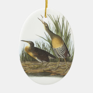 Ornamento De Cerâmica Clapper Rail de Audubon