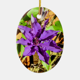 ORNAMENTO DE CERÂMICA CLEMATITE
