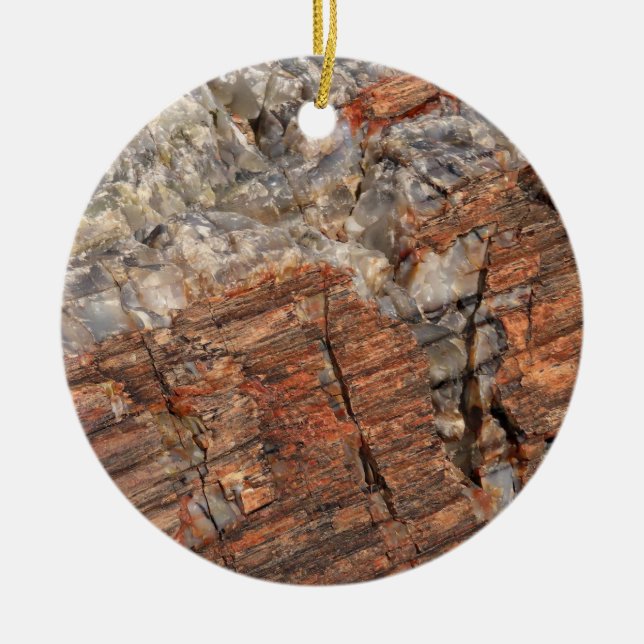 Ornamento De Cerâmica Closeup I de Log Petrificado (Frente)
