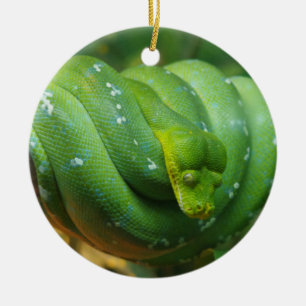 Ornamento De Cerâmica Cobra de Python Árvore Verde