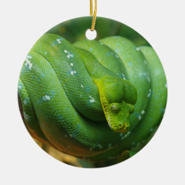 Ornamento De Cerâmica Cobra de Python Árvore Verde (Frente)