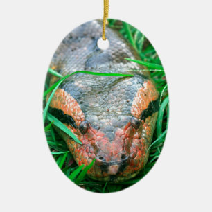 Ornamento De Cerâmica Cobra do Anaconda