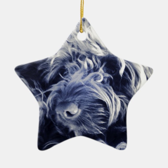 Ornamento De Cerâmica Cockapoo (Frente)