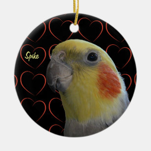 Ornamento De Cerâmica Cockatiel bonito e corações
