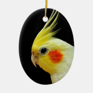 Ornamento De Cerâmica Cockatiel de Lutino