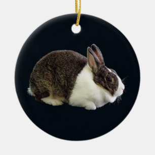 Ornamento De Cerâmica Coelho Branco e Castanho Holandês