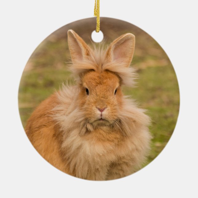 Ornamento De Cerâmica Coelho Flauffy Red Lionhead (Traseira)