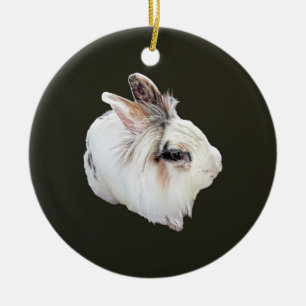 Ornamento De Cerâmica Coelho Lionhead Tri-Color