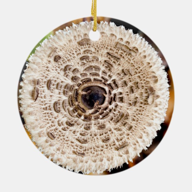 Ornamento De Cerâmica Cogumelo (Traseira)