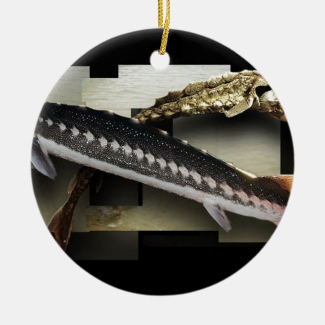 Ornamento De Cerâmica Colagem Stellate do esturjão 3D (Frente)