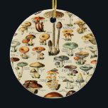 Ornamento De Cerâmica Coleção de Cogumelos<br><div class="desc">Por favor,  visite minha loja para obter design mais interessante e mais opções de cores. => zazzle.com/colorfulworld*</div>