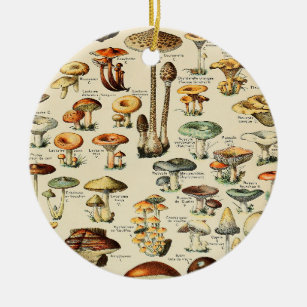 Ornamento De Cerâmica Coleção de Cogumelos