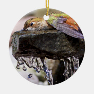 Ornamento De Cerâmica Colibri que coloca na água
