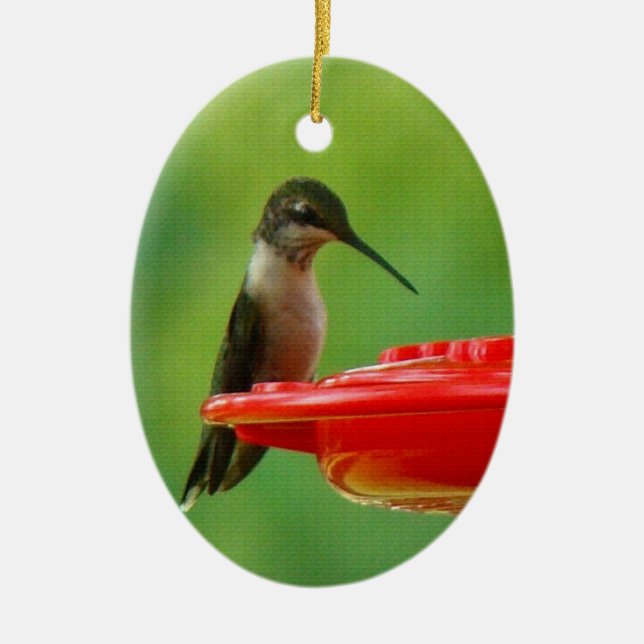 Ornamento De Cerâmica Colibri Rubi-Throated (Frente)