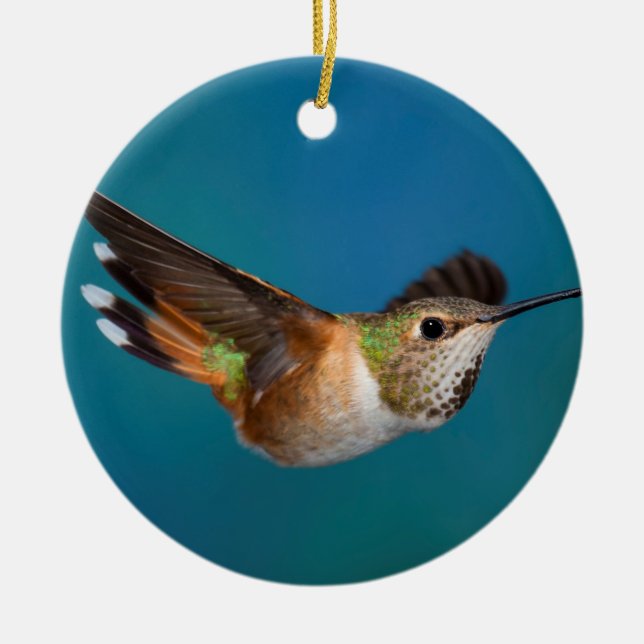 Ornamento De Cerâmica Colibri Rufous (Frente)