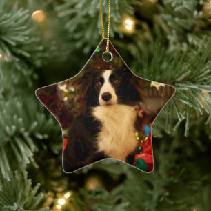Ornamento De Cerâmica Collie Bonita e Árvore de Natal
