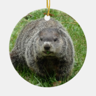 Ornamento De Cerâmica Comer de Groundhog