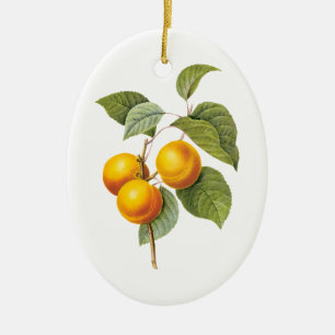 Ornamento De Cerâmica Comida Antiga Fruta, Damasco Pêssego por Redoute