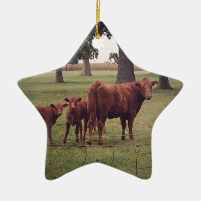 Ornamento De Cerâmica Como Agora Vaca Castanha (Frente)