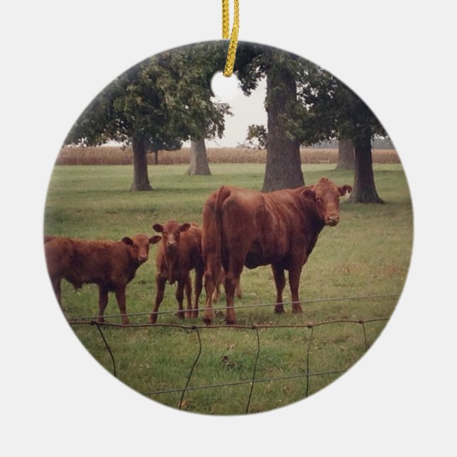 Ornamento De Cerâmica Como Agora Vaca Castanha (Frente)