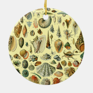 Ornamento De Cerâmica Concha de Molusco Marisco Elegante Arte Clássica