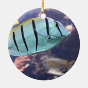 Ornamento De Cerâmica Condenado Tang Gitter-Doktorfisch