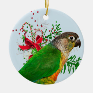 Ornamento De Cerâmica Conure aquece os feriados