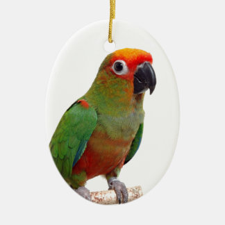 Ornamento De Cerâmica conure Ouro-tampado
