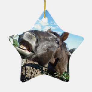 Ornamento De Cerâmica Conversando Cavalo Marrom