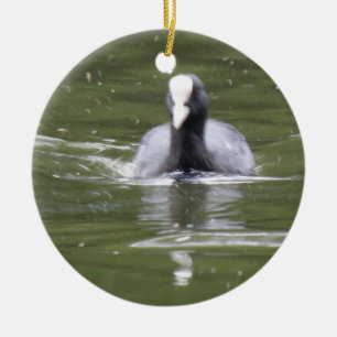 Ornamento De Cerâmica Coot Natação Personalizada Aniversário