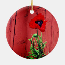 Cor típica do vermelho Falun sueco