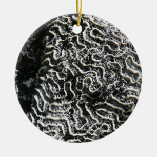 Ornamento De Cerâmica Coral Preto e Branco I Foto Abstrata da Natureza