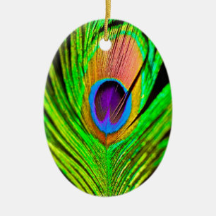 Ornamento De Cerâmica Cores Neon Pena de Pavão