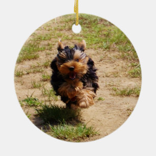 Ornamento De Cerâmica Corredor do yorkshire terrier